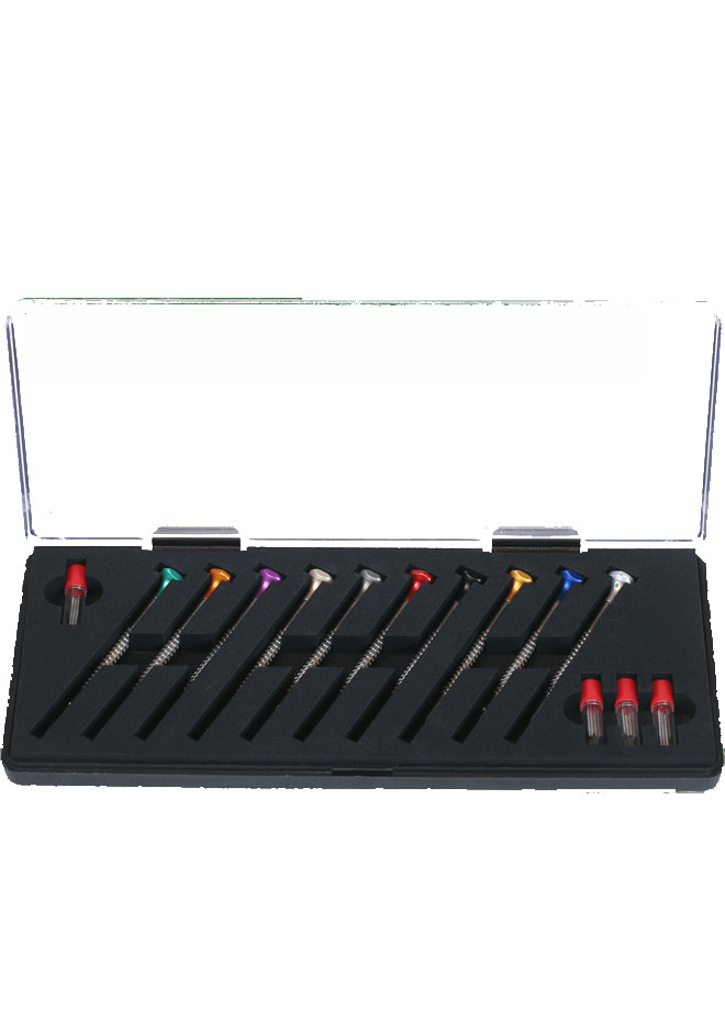 Conjunto de chaves de fenda para relojoeiro com 10 pontas e 2 parafusos.